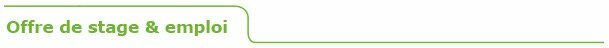 titre_vert_offre_stage.jpg