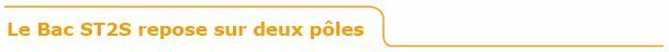 bac_st2s_2_poles.jpg