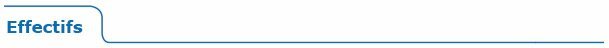 titre_bleu_effectifs.jpg
