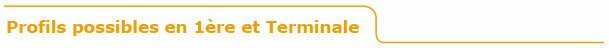 titre_orange_profils_possibles.jpg