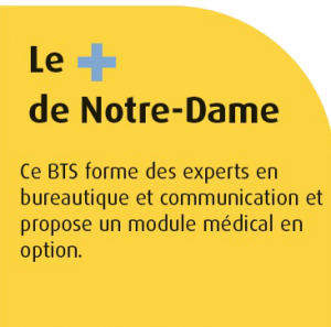 bts am plus